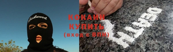 гашик Карталы