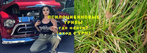 хмурый Карпинск