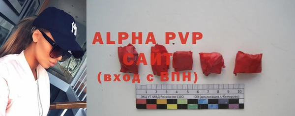 гашик Карталы