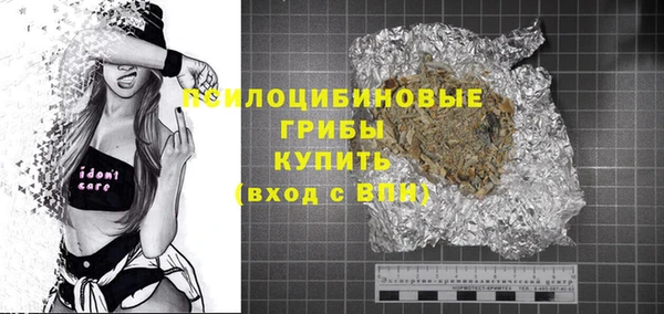 хмурый Карпинск
