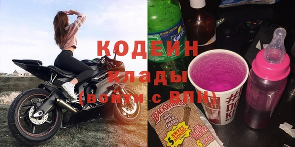 хмурый Карпинск