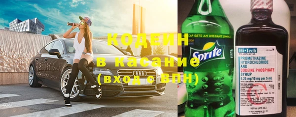 хмурый Карпинск