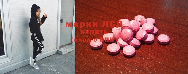 гашик Карталы