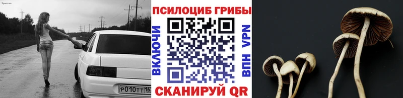 Галлюциногенные грибы Cubensis Камышин